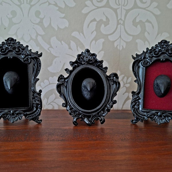 Gothic Miniatur Krähe Rabenkopf im Barocken Ovalen Wandrahmen Taxidermy Neugierde Corvid Geschenk