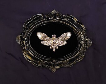 Beautiful Unique Gothic Silver Death's Head Moth in Ornate Frame Wall Art Crushed Velvet