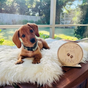 Puppy Announcement - Dog Announcement - Welcome Home Puppy Sign - Custom Puppy Announcement - New Family Member