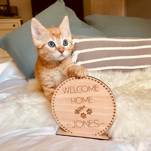 Kitten Announcement - Cat Announcement - Welcome Home Kitten Sign - Custom kitten Announcement - New Family Member - Kitty
