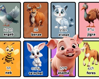 16Amharic domestic Animals Flash Cards with English translation and Amharic to English phonetics according to Google Audio sound translator