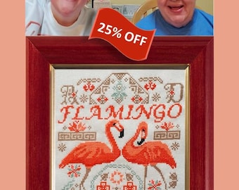 Quacchero fenicottero