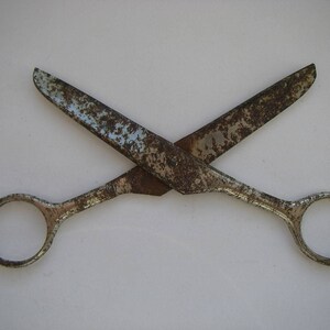 May include: A pair of rusty scissors with silver handles. The blades are crossed and the handles are open.