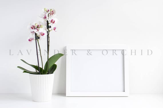White Frame Mockup Styled Stock Photography White Orchid Picture White Frame Mockup Styled Stock Photography White Orchid Picture