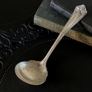 May include: A silver serving spoon with an ornate floral design on the bowl and handle. The spoon rests on a black surface next to a stack of antique books with green and black covers. The spoon's design is detailed and elegant.