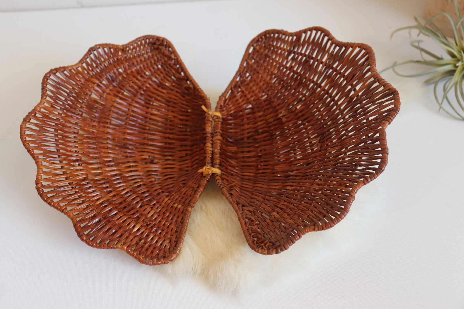 Wicker Rattan Clam Shell Basket Set of 3 Vintage Seashell Etsy