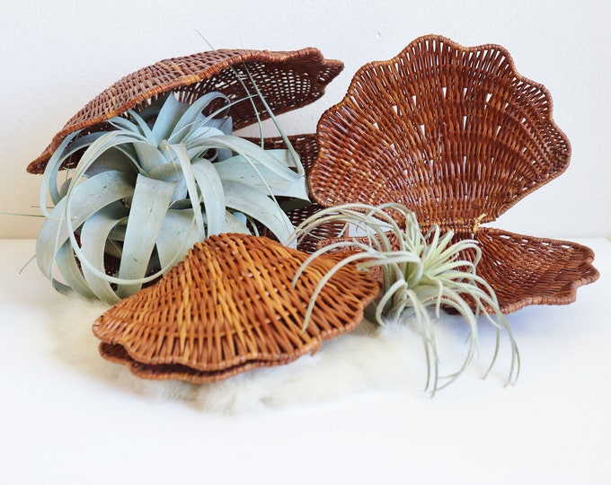 Wicker Rattan Clam Shell Basket Set of 3 Vintage Seashell Wicker Baskets Wicker Wall Hanging