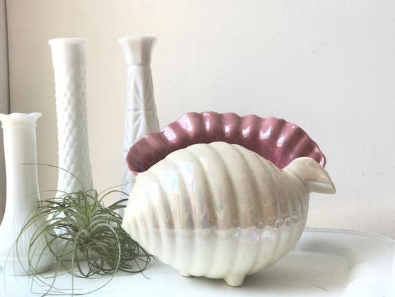 Vintage Conch Shell Vase Planter Iridescent Seashell Vase Etsy