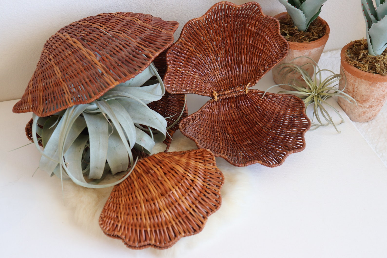 Wicker Rattan Clam Shell Basket Set of 3 Vintage Seashell Etsy