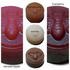 5 Piece 100 Percent Beeswax Melt Sample Fall Scents Pack image 1