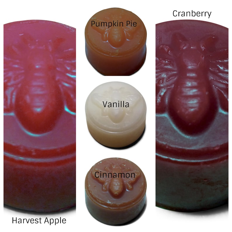 5 Piece 100 Percent Beeswax Melt Sample Fall Scents Pack image 1