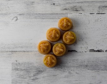 6 Piece Sandalwood Scented Beeswax Melts Hand Poured by Hubbardston Candle Company