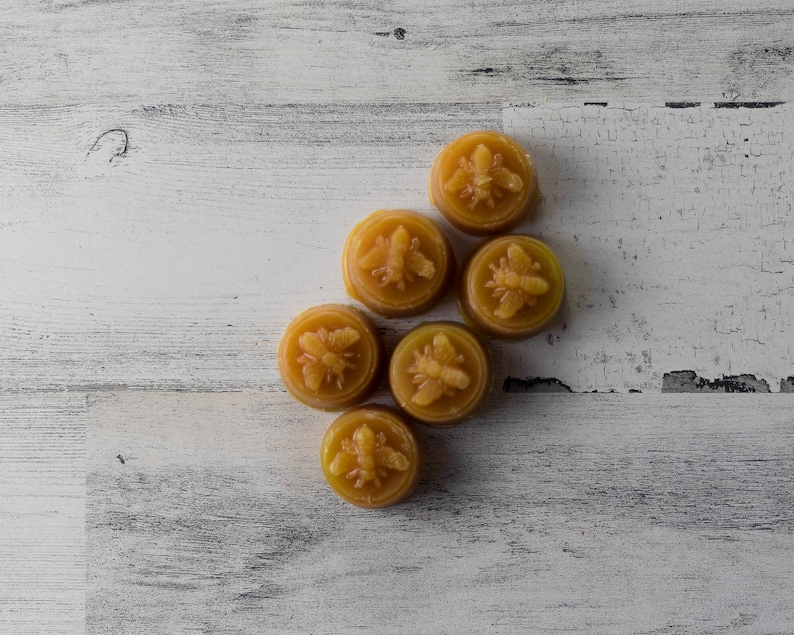 12 Piece Sandalwood Scented Beeswax Melts Hand Poured by Hubbardston Candle Company