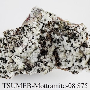 May include: A mineral specimen of Mottramite, featuring a textured surface with white, black, and green coloration. The rock formation has a rough, irregular shape. The text "TSUMEB-Mottramite-08" is visible at the bottom of the image.