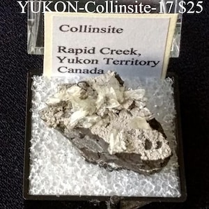 May include: A collinsite mineral specimen from Rapid Creek, Yukon Territory, Canada, presented in a clear display case. The mineral features a mix of gray and white crystalline structures.