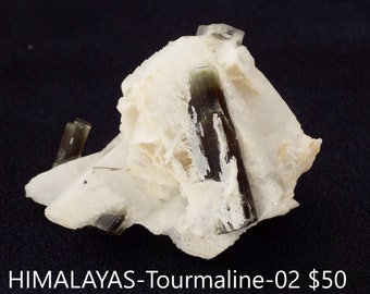 Rocks and Minerals - ELBAITE tourmaline from Pakistan (HIMALAYAS-Tourmaline-02)