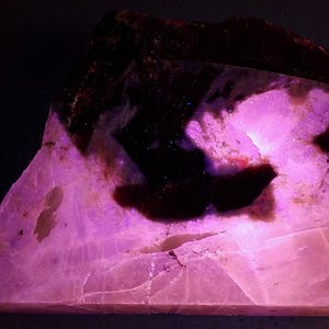 Op de afbeelding: Een grote, onregelmatig gevormde plaat van roze en wit mineraal met donkerbruine en zwarte insluitsels. Het mineraal wordt belicht met UV-licht, waardoor het in een fel roze fluoresceert.