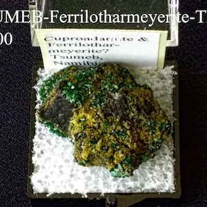 Op de afbeelding: Een mineraalmonster van Ferrilotharmeyerite uit Tsumeb, Namibië, tentoongesteld in een doorzichtige behuizing. Het mineraal heeft een mix van groene, gele en donkerbruine kleuren. Tekst op de behuizing luidt "TSUMEB-Ferrilotharmeyerite-TN01".