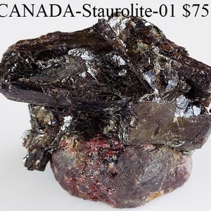 Pode incluir: Um espécime de cristal de estaurolita marrom escuro e preto do Canadá. O cristal tem aproximadamente 7,5 cm de altura e uma superfície áspera e texturizada.