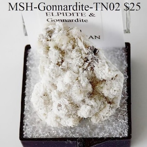 Puede incluir: Un espécimen mineral blanco y marrón claro, etiquetado como "MSH-Gonnardite-TN02", se muestra en una caja negra con tapa transparente. El mineral tiene una apariencia texturizada y cristalina. Una etiqueta blanca con el texto "ELPIDITE & Gonnardite" es visible.