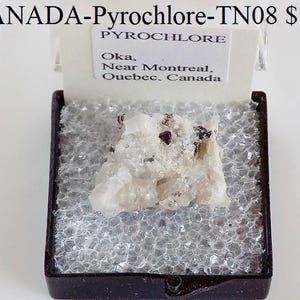 Rocks and Minerals - PYROCHLORE from Quebec, Canada (CANADA-Pyrochlore-TN08)