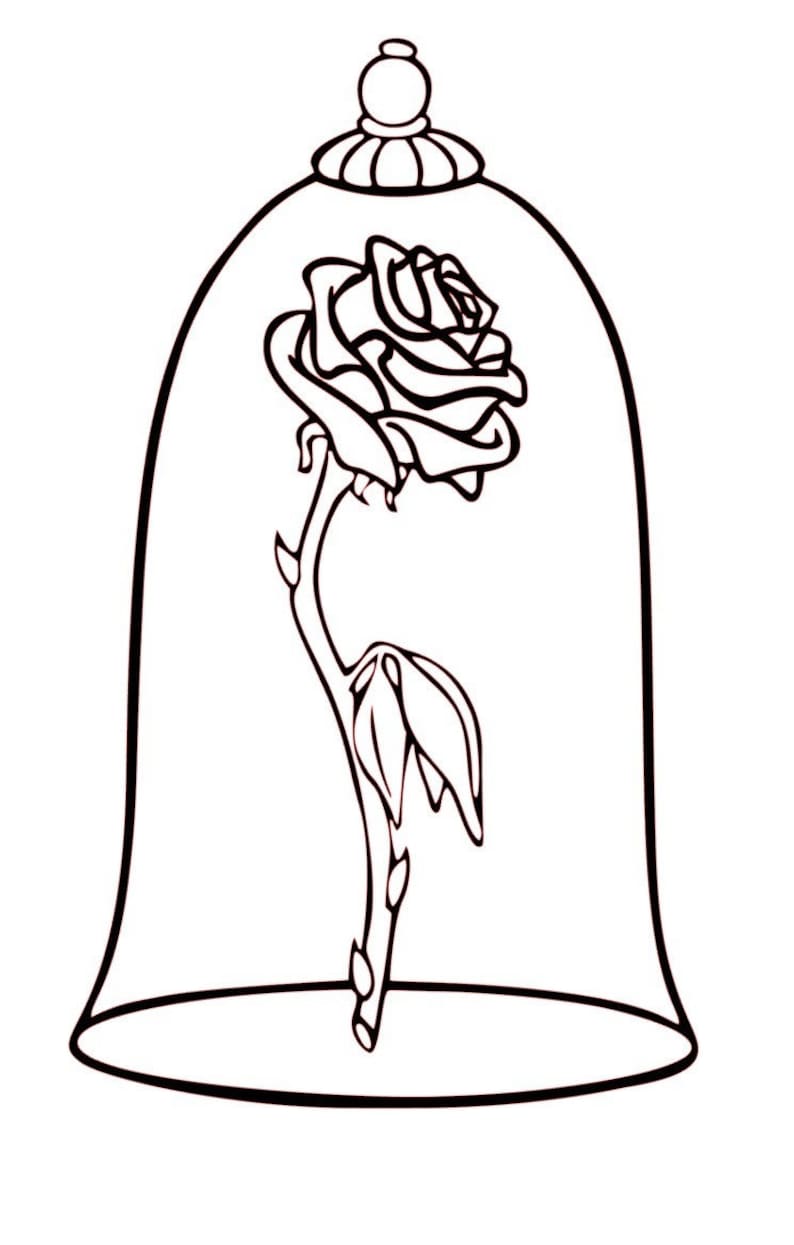 Роза из красавицы и чудовища рисунок