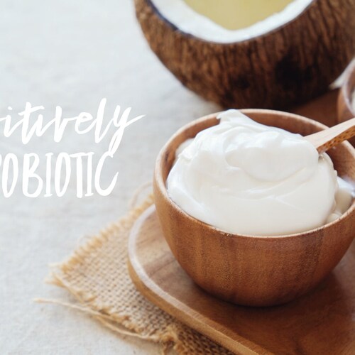 Vegan Coconut Yogurt Culture Heirloom Yogurt Starter