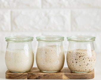 Alaskan Sourdough Starter Culture Bread Yeast