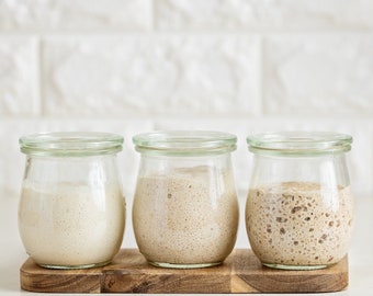 Organic Buckwheat Gluten Free Sourdough Starter Culture Bread Yeast