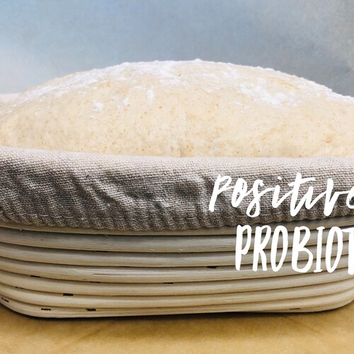 Choose Your Own Sourdough Starter Culture Bread Yeast Etsy