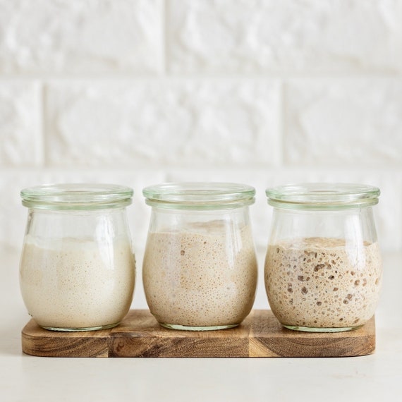 Wild Dark Rye Sourdough Starter Culture Bread Yeast Dehydrated