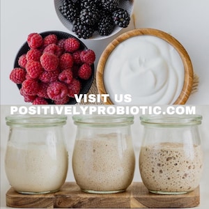 以下が含まれることがあります： 3つのガラス瓶に、異なる段階の自家製酵母が入っています。酵母は白、薄い茶色、濃い茶色です。瓶は木製の台の上に置かれています。瓶の下に「VISIT US POSITIVELYPROBIOTIC.COM」というテキストが表示されています。