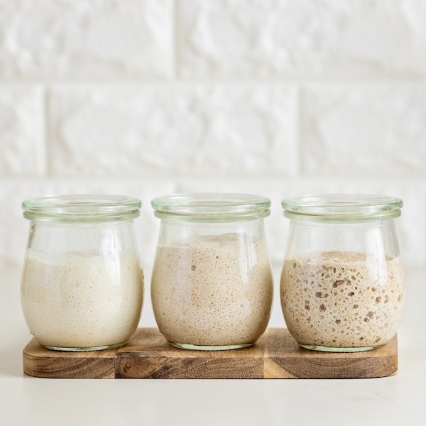 Gluten Free Sourdough Starter Culture