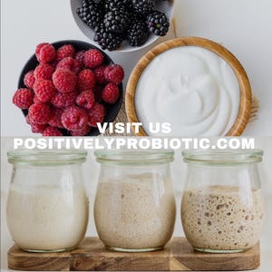 Puede incluir: Tres frascos de vidrio con diferentes etapas de masa madre. La masa madre es blanca, marr&oacute;n claro y marr&oacute;n oscuro. Los frascos est&aacute;n sobre una superficie de madera. El texto "VISIT US POSITIVELYPROBIOTIC.COM" es visible debajo de los frascos.