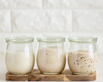 Australian Melbourne Highrise Sourdough Starter Culture Bread Yeast Sourdough Culture