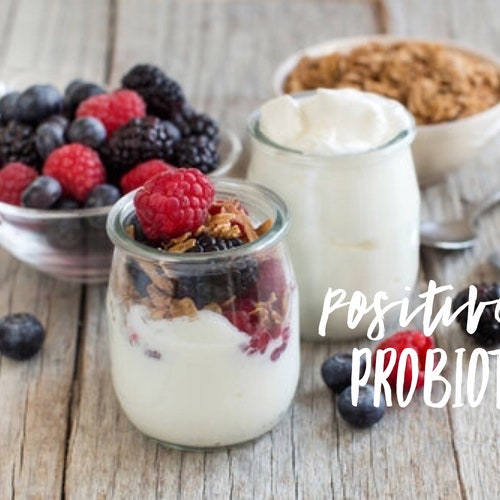 Japanese Caspian Sea Mesophilic Yogurt Starter Culture Etsy