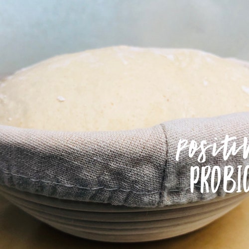 French Parisian Sourdough Starter Culture Bread Yeast Etsy