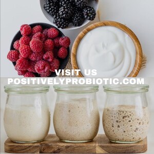 May include: Three glass jars with different stages of sourdough starter. The starter is white, light brown, and dark brown. The jars are on a wooden surface. The text "VISIT US POSITIVELYPROBIOTIC.COM" is visible below the jars.