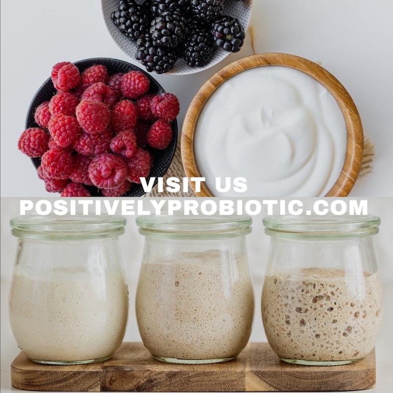 May include: Three glass jars with different stages of sourdough starter. The starter is white, light brown, and dark brown. The jars are on a wooden surface. The text "VISIT US POSITIVELYPROBIOTIC.COM" is visible below the jars.