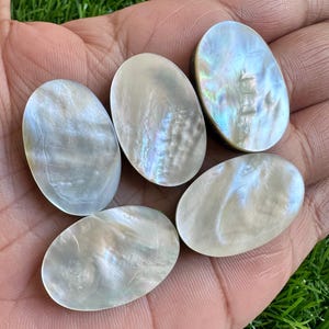 Può includere: Cinque cabochon ovali in madreperla iridescente. I cabochon sono di colore grigio chiaro con un leggero luccichio.