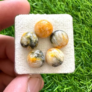 Pode incluir: Cinco pedras preciosas redondas com uma mistura de cores amarelo, preto e transparente. As pedras preciosas são exibidas em uma superfície branca contra um fundo verde. As pedras preciosas têm uma aparência polida e lisa.