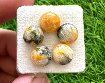 Natuurlijke hommeljaspis 10 mm ronde cabochons losse edelstenen Lot: gele jaspis