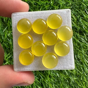 May include: A collection of ten round, yellow gemstones displayed in a clear plastic container. The gemstones have a smooth, polished surface and a translucent appearance. The container is held against a backdrop of green grass.