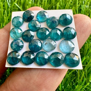 Puede incluir: Colecci&oacute;n de gemas redondas y facetadas en tonos azul y verde. Las gemas est&aacute;n dispuestas sobre una tarjeta blanca, mostrando sus superficies pulidas y su claridad interna. El fondo es de un verde vibrante, creando un contraste.