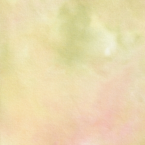 Rainforrest 13 x 18&quot; 28ct Lugana teñido a mano