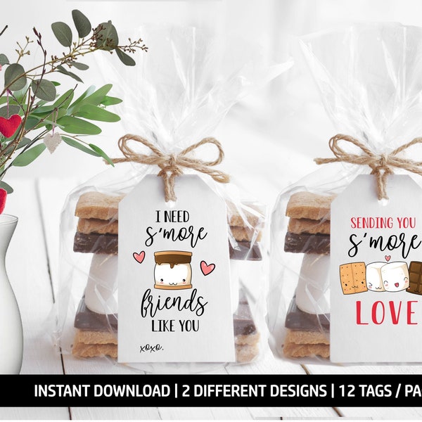 Printable Valentine's Day Tags, S'more Friends Tags, S'more Tags, Valentines Tags, School Gift Tags, Printable