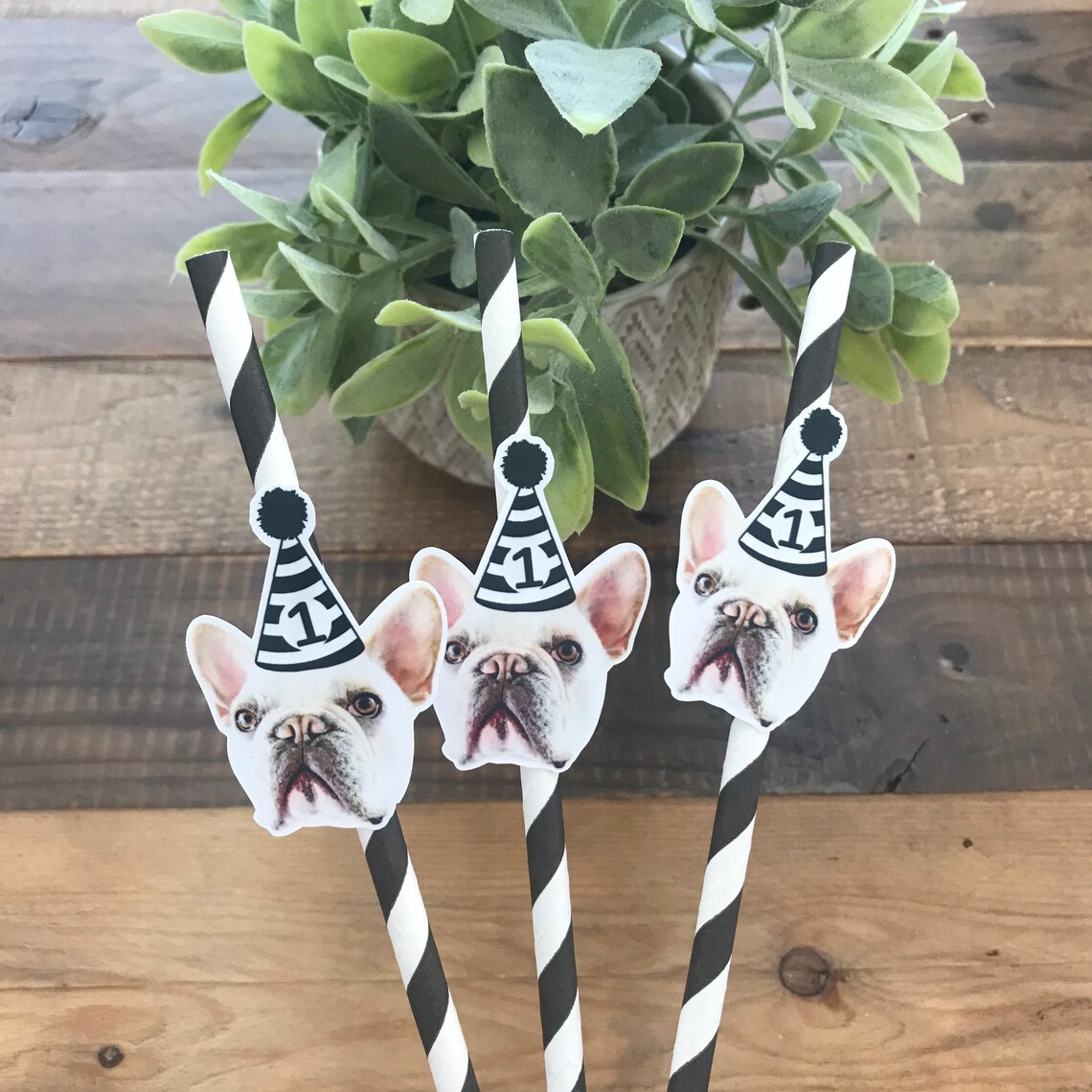 Custom Face Paper Straws Personalized Face Party Straws with Etsy