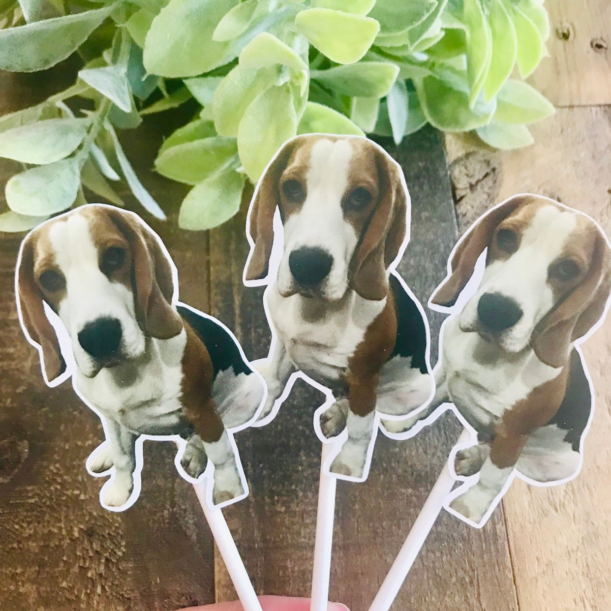 Beagle Photo Cupcake Toppers: Animal Party Decor - Etsy