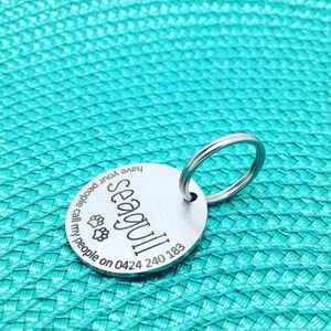 May include: A round, silver pet tag with the name "Seagull" in a bold font. The tag includes paw prints and a phone number. A silver ring is attached for easy attachment to a pet's collar. The tag is set against a turquoise background.