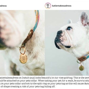 May include: A white bulldog wearing a colorful braided collar with a gold tag. The tag is engraved with the name "SID". The collar has a leather accent and a metal ring for attaching a leash. The image is from katie makes a dress.